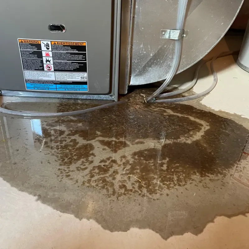 Appliance Leak Cleanup in Fairmont, WV